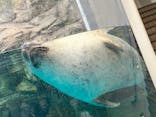 京都水族館に投稿された画像（2022/8/17）