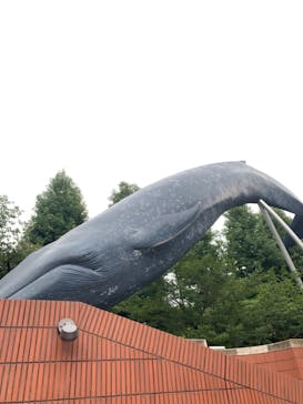 国立科学博物館に投稿された画像（2022/8/17）