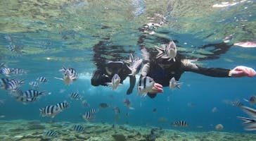 青の洞窟専門店　沖縄ダイビングショップ和に投稿された画像（2022/8/17）