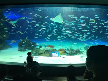 サンシャイン水族館に投稿された画像（2022/8/17）