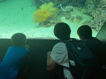環境水族館アクアマリンふくしまに投稿された画像（2022/8/17）
