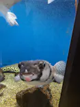 仙台うみの杜水族館に投稿された画像（2022/8/17）