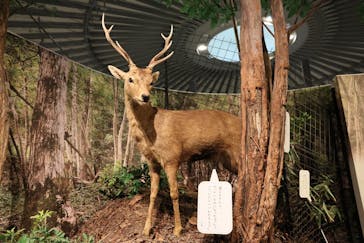 滋賀県立琵琶湖博物館に投稿された画像（2022/8/17）