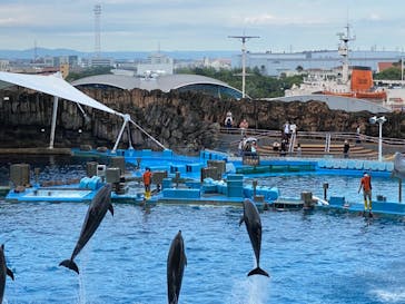 名古屋港水族館に投稿された画像（2022/8/17）