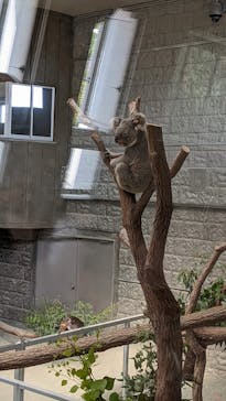 淡路ファームパーク イングランドの丘に投稿された画像（2022/8/17）