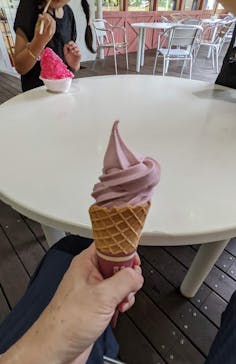 淡路ファームパーク イングランドの丘に投稿された画像（2022/8/17）