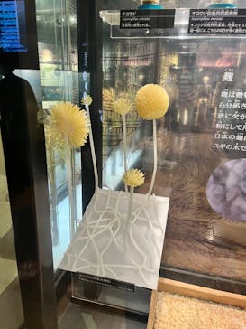 国立科学博物館に投稿された画像（2022/8/17）