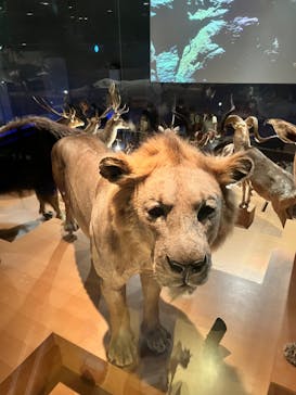 国立科学博物館に投稿された画像（2022/8/17）