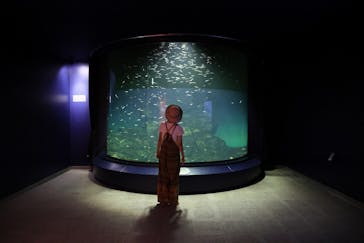 滋賀県立琵琶湖博物館に投稿された画像（2022/8/17）