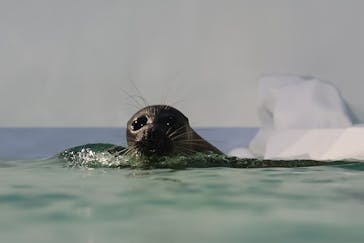 滋賀県立琵琶湖博物館に投稿された画像（2022/8/17）