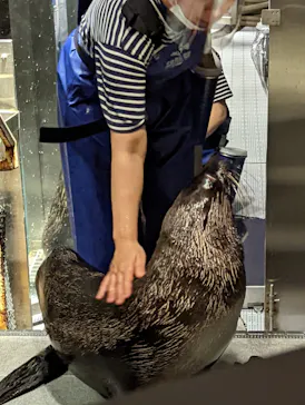 すみだ水族館に投稿された画像（2022/8/17）