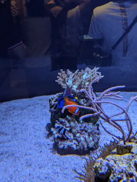 すみだ水族館に投稿された画像（2022/8/17）