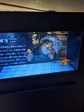 すみだ水族館に投稿された画像（2022/8/17）