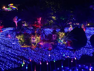 伊豆ぐらんぱる公園に投稿された画像（2022/8/17）