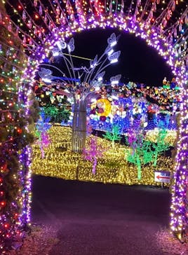 伊豆ぐらんぱる公園に投稿された画像（2022/8/17）