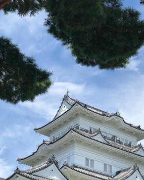 小田原城に投稿された画像（2022/8/17）