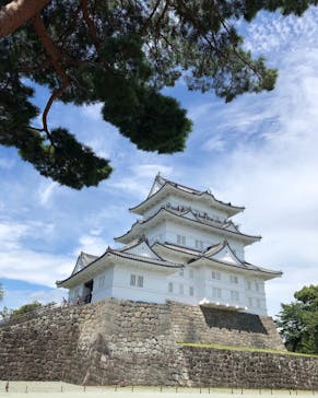 小田原城に投稿された画像（2022/8/17）