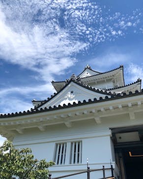 小田原城に投稿された画像（2022/8/17）