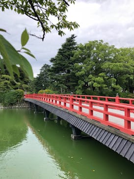 小田原城に投稿された画像（2022/8/17）