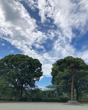 小田原城に投稿された画像（2022/8/17）