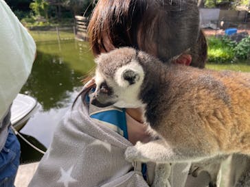 伊豆シャボテン動物公園に投稿された画像（2022/8/17）