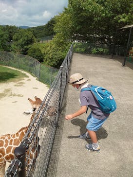 姫路セントラルパークに投稿された画像（2022/8/17）