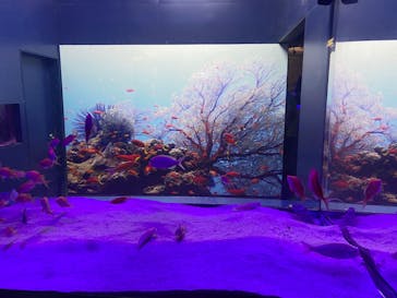 伊豆・三津シーパラダイスに投稿された画像（2022/8/17）