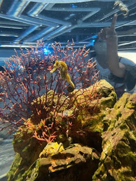 felissimo chocolate museum（フェリシモチョコレートミュージアム）に投稿された画像（2022/8/17）