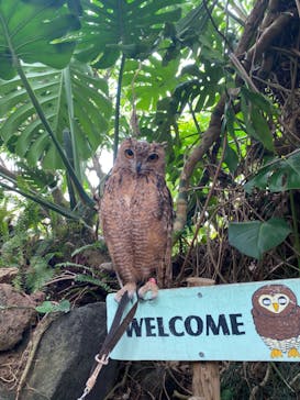 伊豆シャボテン動物公園に投稿された画像（2022/8/17）