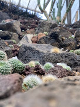 伊豆シャボテン動物公園に投稿された画像（2022/8/17）