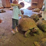 体感型動物園iZooに投稿された画像（2022/8/18）