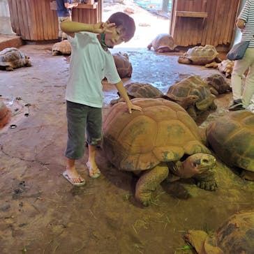 体感型動物園iZooに投稿された画像（2022/8/17）
