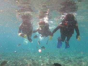 沖縄ダイビングショップシーモールに投稿された画像（2022/8/17）