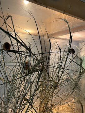 環境水族館アクアマリンふくしまに投稿された画像（2022/8/17）