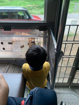 群馬サファリパークに投稿された画像（2022/8/17）