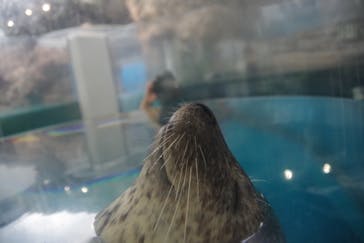 京都水族館に投稿された画像（2022/8/17）