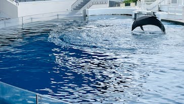 京都水族館に投稿された画像（2022/8/17）