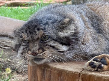 那須どうぶつ王国に投稿された画像（2022/8/17）