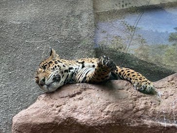 那須どうぶつ王国に投稿された画像（2022/8/17）