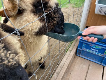 那須どうぶつ王国に投稿された画像（2022/8/17）