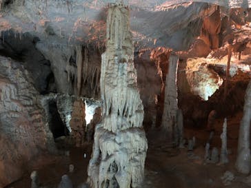 あぶくま洞に投稿された画像（2022/8/17）