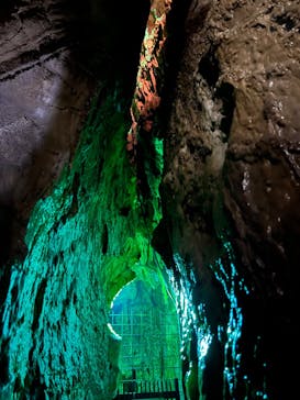 あぶくま洞に投稿された画像（2022/8/18）