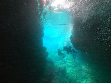 DIVING-SHOP SUNSに投稿された画像（2022/8/18）