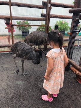 富士花鳥園に投稿された画像（2022/8/18）