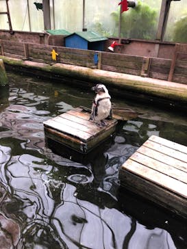 富士花鳥園に投稿された画像（2022/8/18）