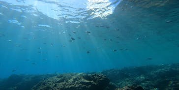 武藤潜水に投稿された画像（2022/8/18）