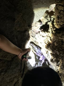 石垣島 ADVENTURE PiPi（イシガキジマアドベンチャーピピ）に投稿された画像（2022/8/18）