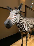 国立科学博物館に投稿された画像（2022/8/18）