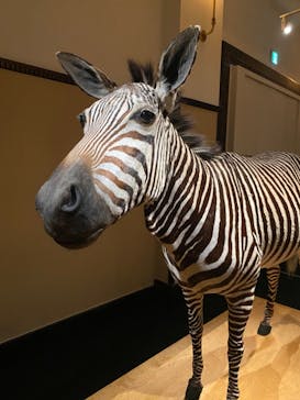 国立科学博物館に投稿された画像（2022/8/18）