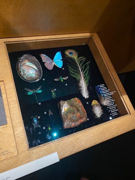 国立科学博物館に投稿された画像（2022/8/18）